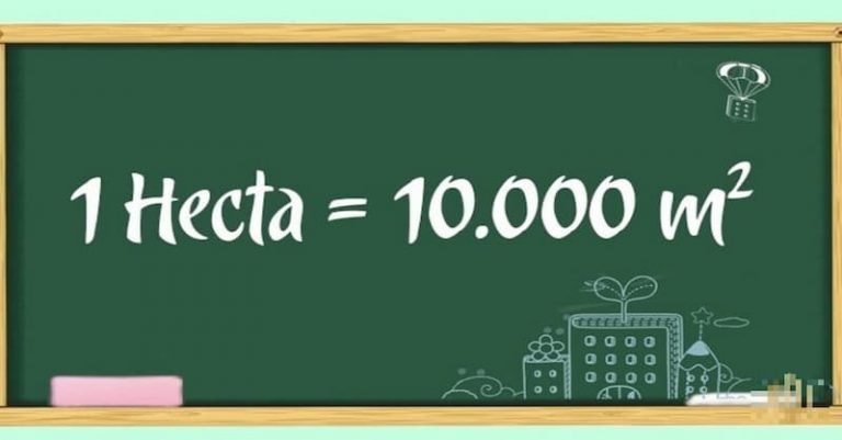 Toán lớp 5 hecta: Tổng hợp kiến thức lý thuyết và bài tập