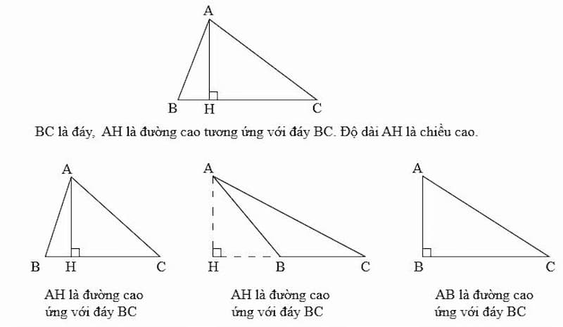 Các dạng bài tập toán lớp 5 hình tam giác thường gặp